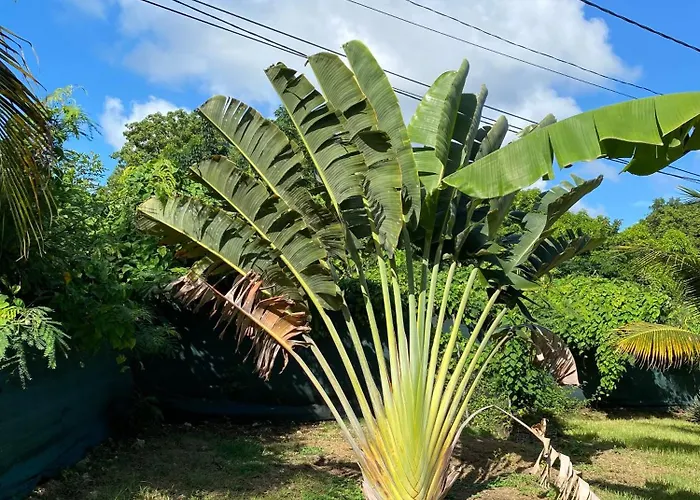 Love Guadeloupe